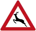 142: Wild animals Crossing (option 1)