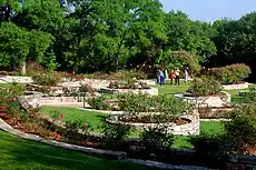 Mabel Davis Rose Garden