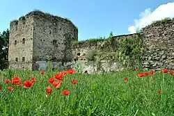 Remains of the 16th-17th century Zolotyi Potik Castle.