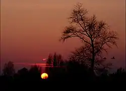 Sunset in the Geelders, Olland, Sint-Oedenrode