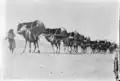 Camel Caravan to Mecca, 1910, when the Hajj was a part of the slave trade.