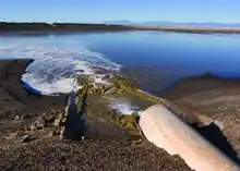 Manure lagoon in California