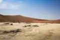 General view of Dead Vlei