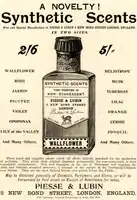 Piesse & Lubin Perfume Newspaper Advertisement 1897