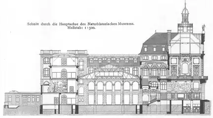 Cross section through the main axis of the Senckenberg Museum, published 1908