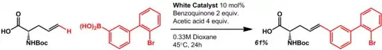 Oxidative Heck Reaction Scheme