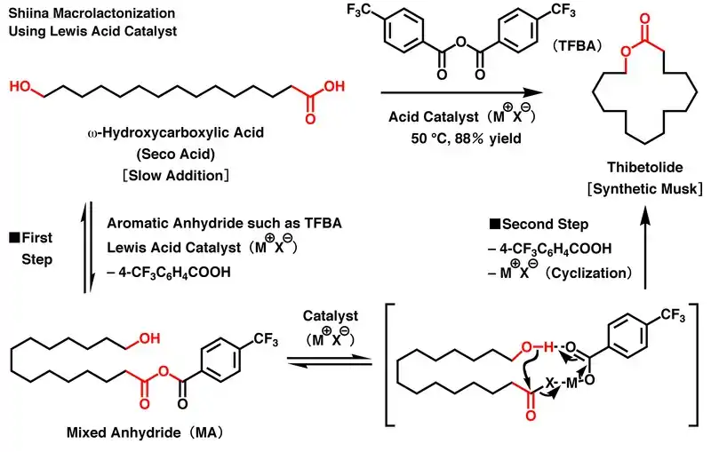 Shiina macrolactonization using Lewis acid catalyst