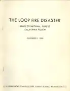 Official US Forest Service Loop fire tragedy report