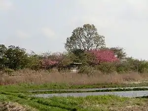 廢除後的前波站月台全景(2017年4月)