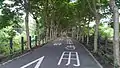 后豐鐵馬道起點（后里車站後方）