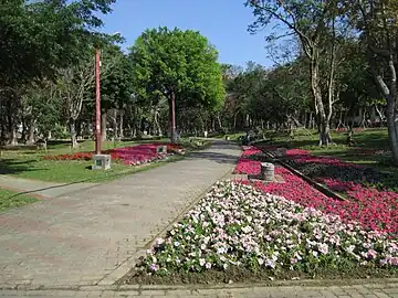 嘉義公園園區一景