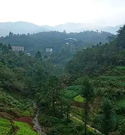 图为坐落于华蓥市的皛然山，远处为安丙家族墓地