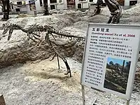 五彩冠龙（Guanlong wucaii）