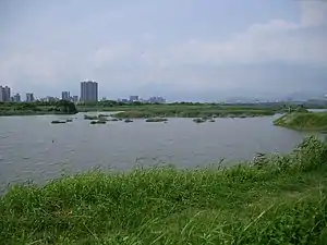 臺北市野雁保護區/華江雁鴨自然公園。