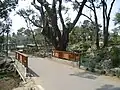 臺南公園日治時期人工造景溪流。