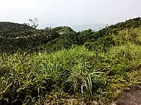 茂名电白鹅凰嶂越野穿越