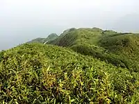 茂名电白鹅凰嶂越野穿越