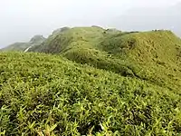 茂名电白鹅凰嶂越野穿越