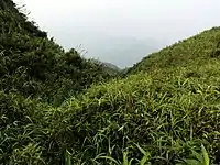 茂名电白鹅凰嶂越野穿越