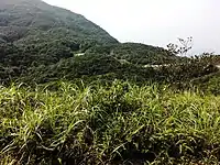 茂名电白鹅凰嶂越野穿越