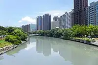 從願景橋望向愛河