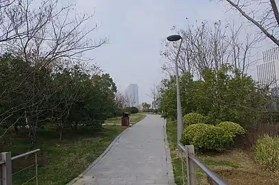 小路风景