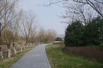 小路风景