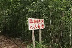 封开黑石顶