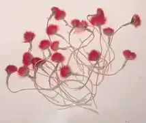 以鐮嘴管鴰羽毛製成的藝術品，藏於夏威夷懷盧庫的貝利之家博物館（英语：）