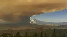 Thick orange-brown smoke blocks half a blue sky, with conifers in the foreground