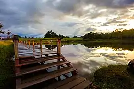 公園內的觀景步道