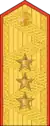 中将