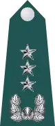 中将