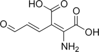 Skeletal formula of 2-amino-3-carboxymuconic semialdehyde