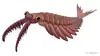 20210626_Anomalocaris