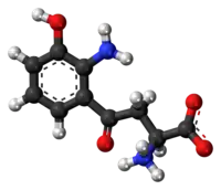 Ball-and-stick model of the 3-hydroxykynurenine molecule as a zwitterion