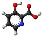 Ball-and-stick model of the 3-hydroxypicolinic acid molecule