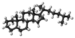 Ball-and-stick model of the coprostane molecule