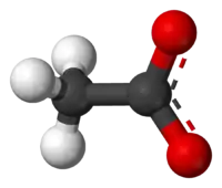 Ball-and-stick model of the acetate anion