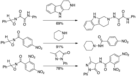 Select acyl transfer reactions of oxaziridine