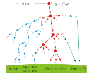 A branching tree representing the particle production