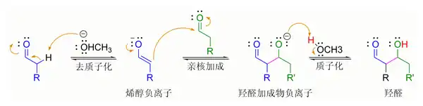 键－催化的醛自身发生羟醛反应的机理