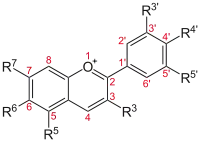 Anthocyanidine