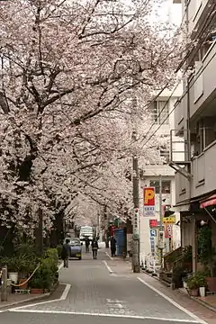 目黑川旁的道路。青葉台一丁目。