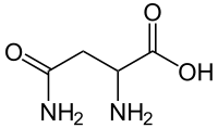 天冬醯胺 Asparagine