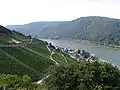 Rheingau valley with the Rhine