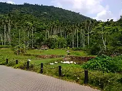 海南呀诺达雨林文化旅游区（英语：）