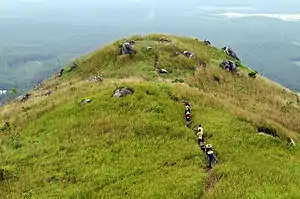 茅草山，武来岸热门景点