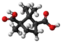 Ball-and-stick model of the camphoric acid molecule