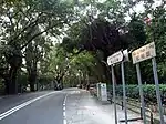 青山公路松柏塱段